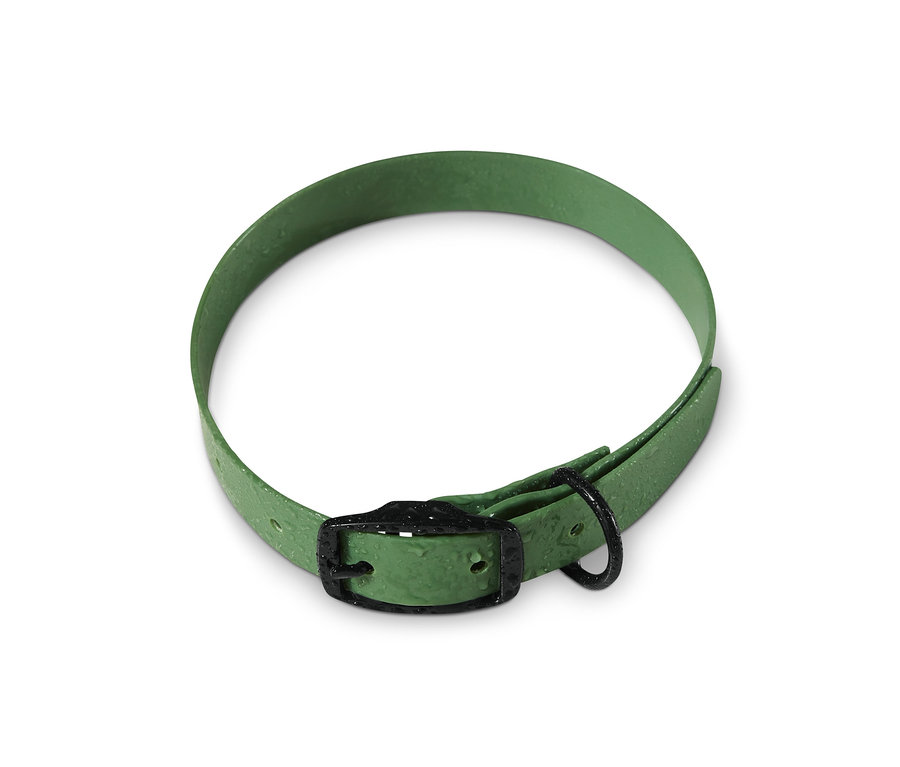 Zielona obroża dla psa leży na białym tle.