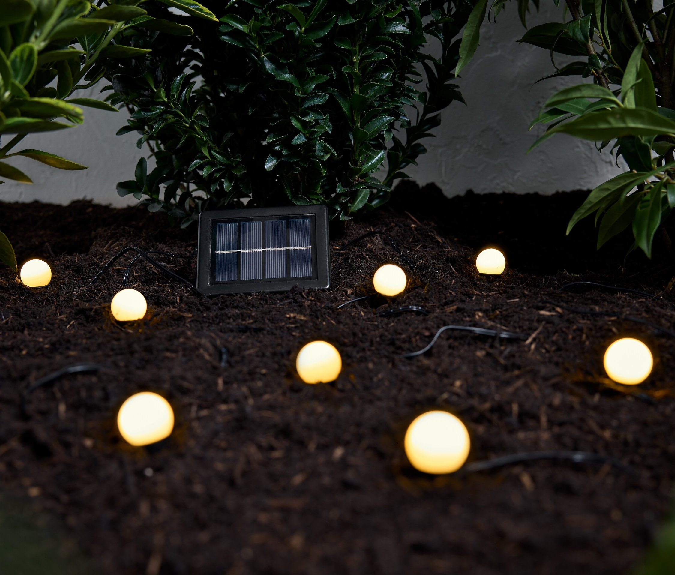 Solarny łańcuch świetlny do umieszczenia przy ziemi z kilkoma okrągłymi światłami leży na brązowej ziemi wśród zielonych roślin.