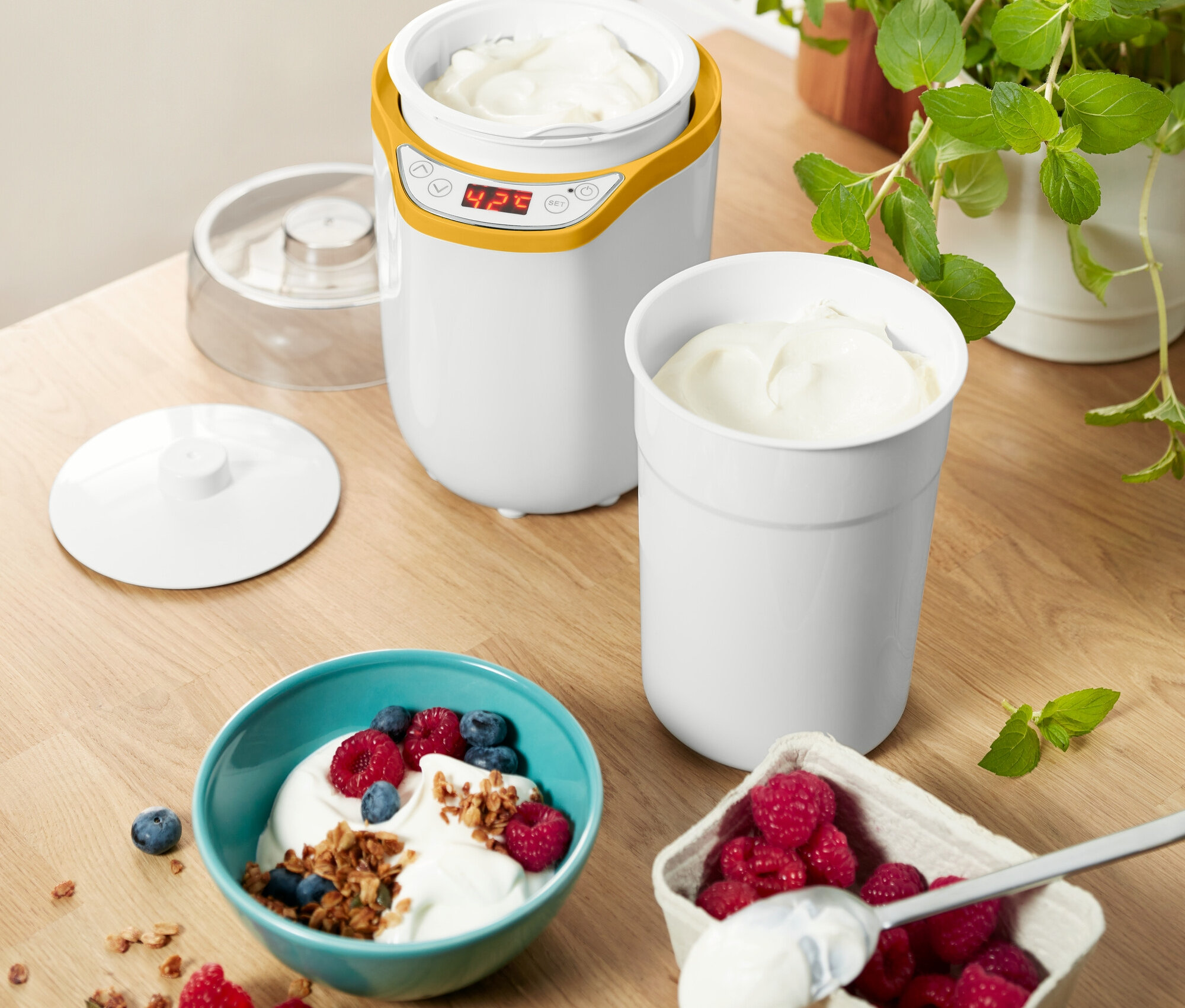 Na drewnianym stole stoi jogurtownica, miska jogurtu z owocami i pojemnik z malinami.