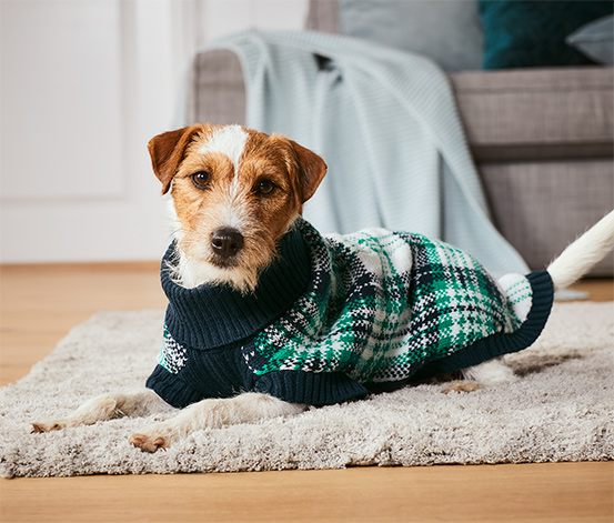 Sweter dla psa