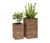 2 donice »Tinus« 