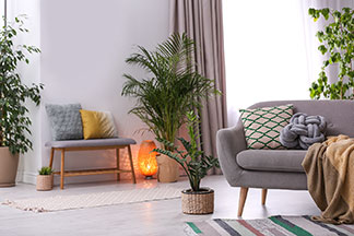Lampa dekoracyjna jako wyróżniający się element wnętrza: salon z szarą pufą, różnymi zielonymi roślinami i niewielką ławką do przedpokoju, obok której na podłodze stoi owalna lampa emitująca pomarańczowe światło.